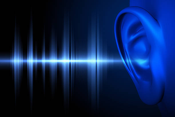escuche el sonido wave - human ear fotografías e imágenes de stock