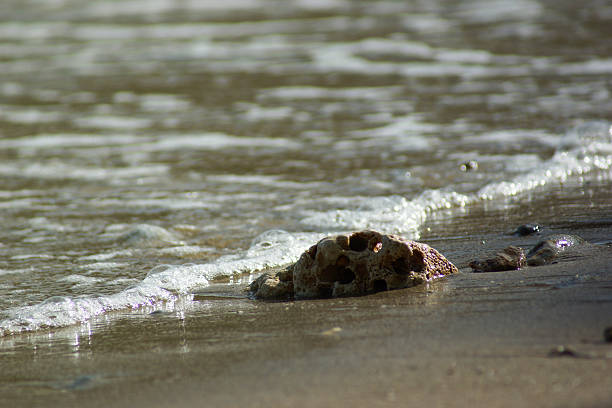 istock Splashing on Rock and pebbles, Dominican beach, Samana 497749741