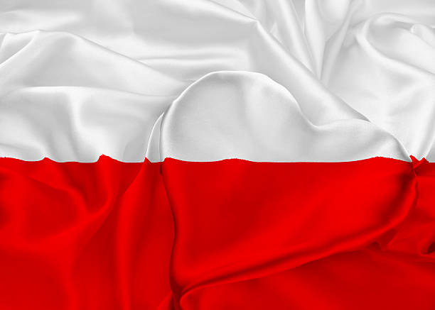 istock Flag of Poland 497753212