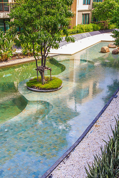 Residential Inground Swimming Pool in Backyard. Residential Inground Swimming Pool in Backyard. shallow stock pictures, royalty-free photos & images
