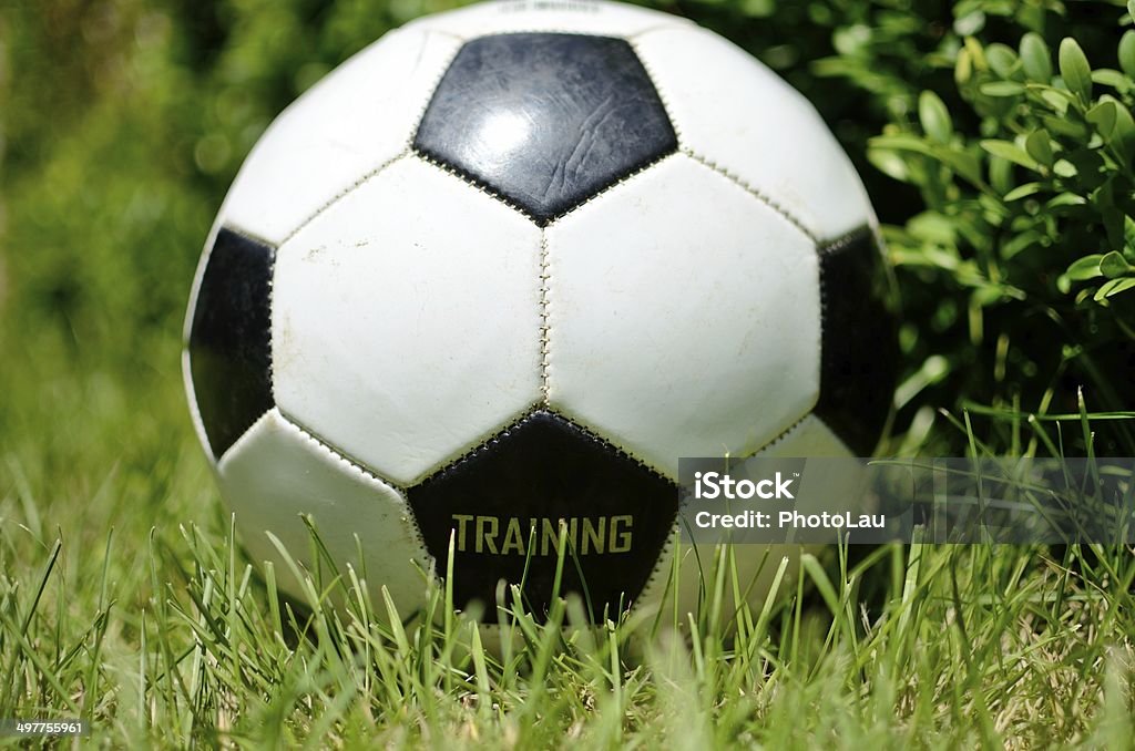 Special training soccer ball Training soccer ball waiting at the end of a soccer field. Achievement Stock Photo