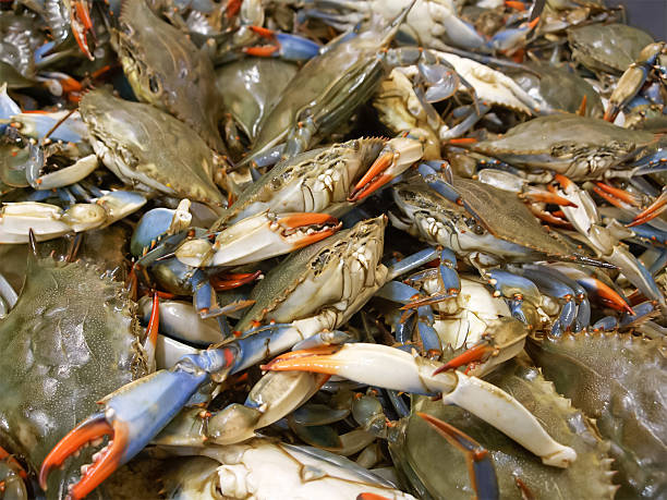 istock Crabs for sale in fish market 497755969