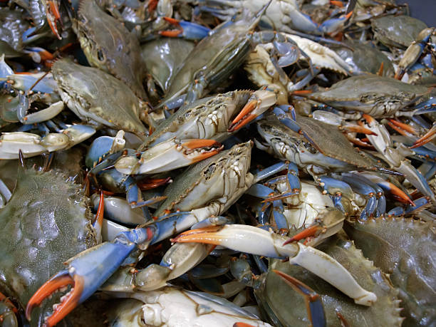 istock Crabs for sale in fish market 497756883