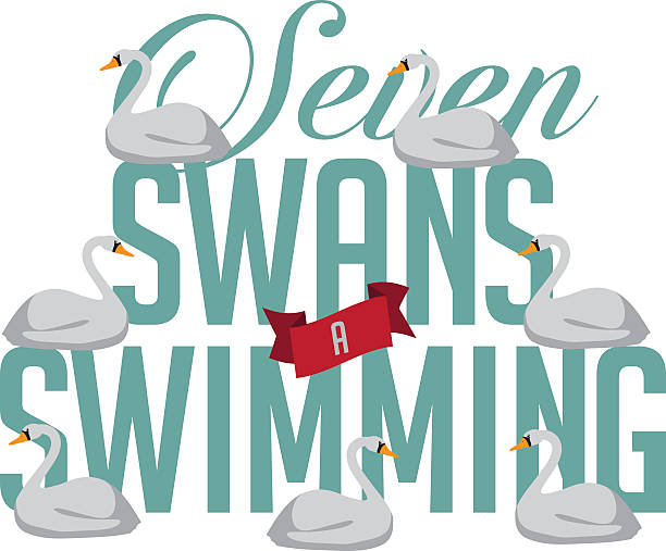 20+ Seven Swans A Swimming Stock Illustrations, Royalty-Free