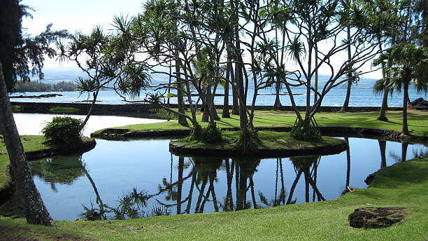 istock Hawaii...The Big Island 497782978