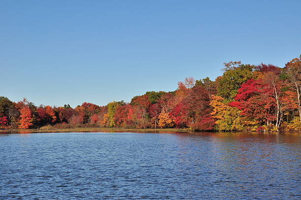 istock New Jersey lake, foliage under autumn sun 497784738