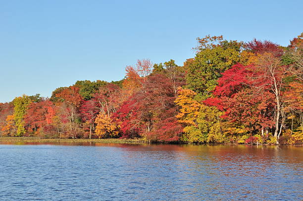istock New Jersey lake, foliage under autumn sun 497784814