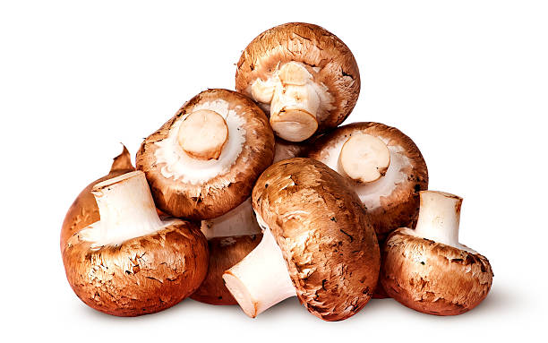 istock Pile of fresh brown champignon 497788288