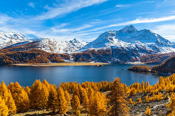 Stunning view of Sils lake in golden autumn Panorama view of Sils lake and the swiss alps in Upper Engadine with golden trees in autumn, Canton of Grisons, Switzerland. engadine stock pictures, royalty-free photos & images