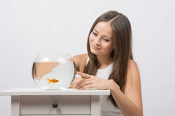 istock She knocks on finger on the glass aquarium with goldfish 497789424