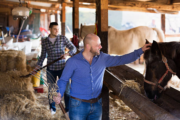 istock Males giving hat to horse 497790612