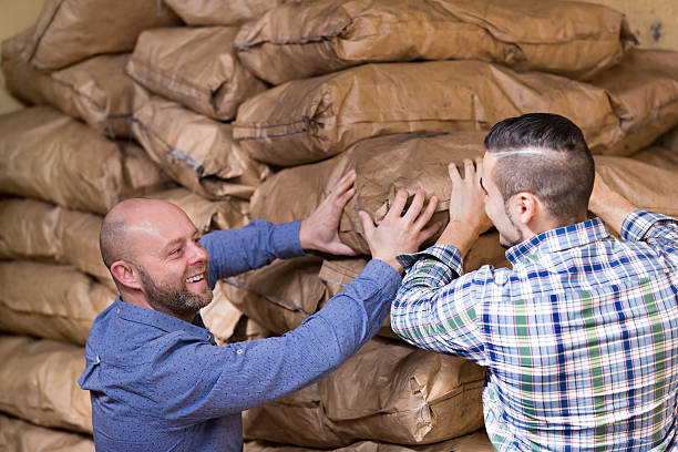 istock Workers carrying bags of cement 497790956