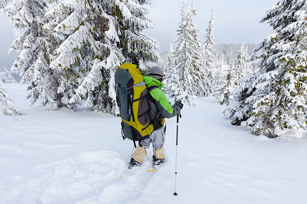 istock Hiker walking in winter Carpathian mountains 497792276