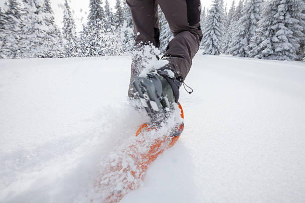 mulher caminhadas com raqueta de neve no inverno carpathian montanhas - snowshoeing snowshoe women shoe - fotografias e filmes do acervo