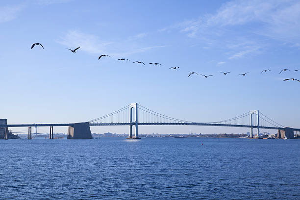 istock Whitestone Bridge in New York City 497793546