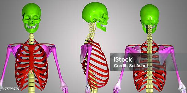 Skull Stock Photo - Download Image Now - Capsule - Medicine, Chiropractor, Digitally Generated Image