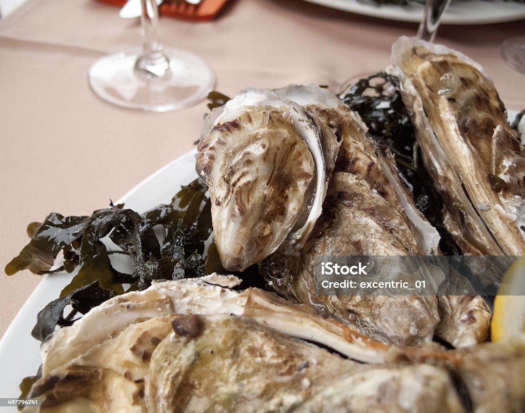 Oysters served in a restaurant Appetizer Stock Photo