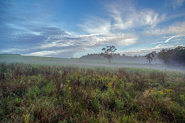 istock Field in Sullivan county New York 497798781