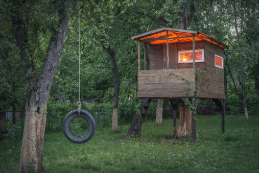 house on tree in evening garden