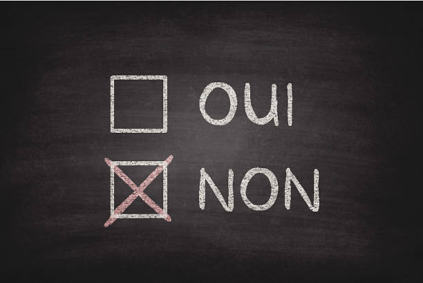 Oui or Non Checkboxes on Blackboard - Chalkboard  just say no stock illustrations