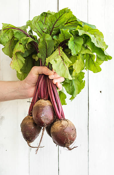 istock Bunch of fresh garden beetroot kept in man's hand 497801502