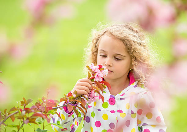 Young girl taking a close look at some pink blossoms on a tree in springtime. Image shot through branches on the tree to form a natural frame around the girl. Taken on a rainy spring morning, so the girl is wearing a multicolored polka dot rain coat.