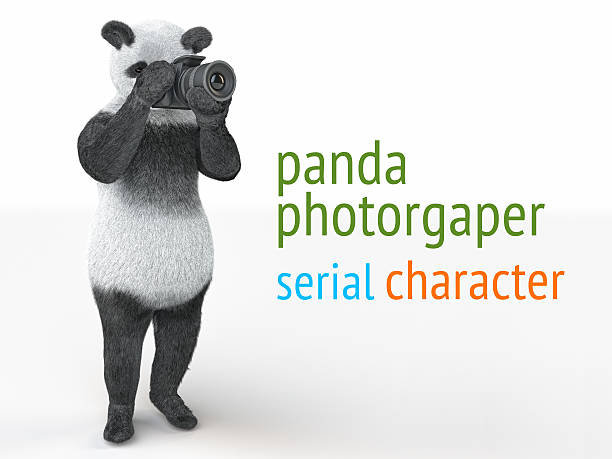 panda animail charakter fotograf nimmt foto kamera isoliert hintergrund 3d - protagonist stock-fotos und bilder