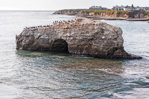 istock Rock Cave Santa Cruz Landmark with birds 497808076