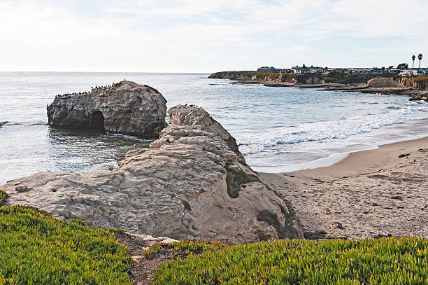 istock West Cliff Dr Santa Cruz Rocky Shoreline 497808094