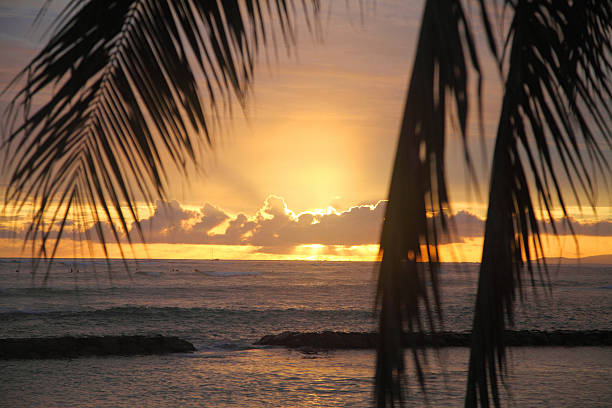 istock Sunset in Waikiki Beach 497808860
