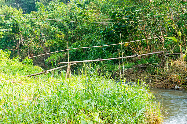 istock Rustic handmade wooden bridge over creek 497809004
