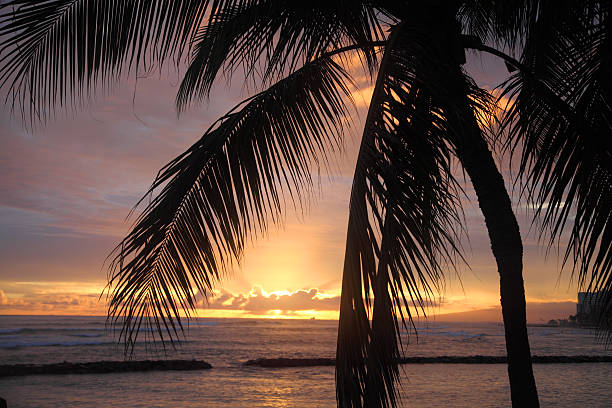 pôr do sol na praia do waikiki - hawaii islands big island waikiki beach imagens e fotografias de stock