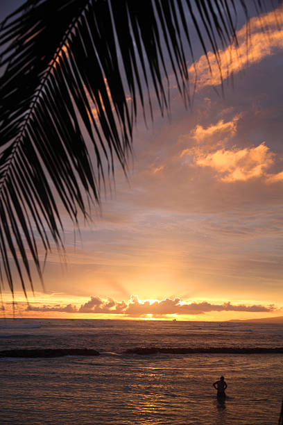 pôr do sol na praia do waikiki - hawaii islands big island waikiki beach imagens e fotografias de stock
