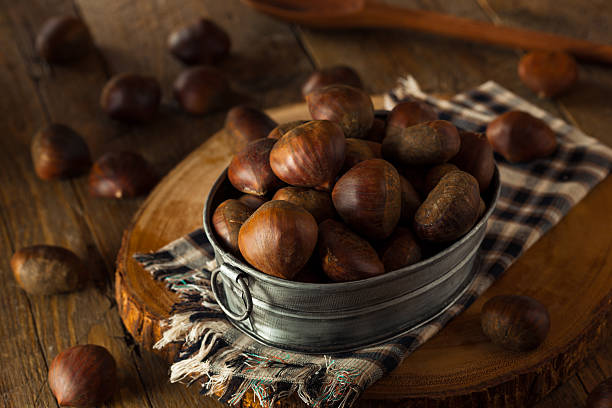 istock Raw Brown Organic Italian Chestnuts 497810764