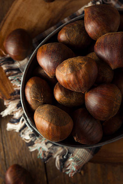 istock Raw Brown Organic Italian Chestnuts 497810894
