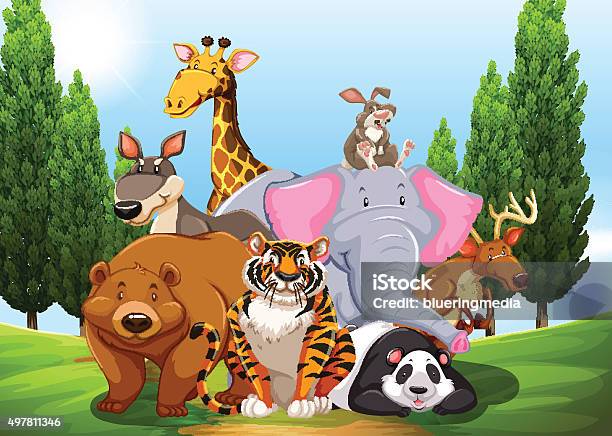 Wild Animals Park Stock Illustration - Download Image Now - 2015, Animal, Animal Wildlife - iStock Wild Animals Park Stock Illustration - Download Image Now - 2015, Animal, Animal Wildlife - iStock