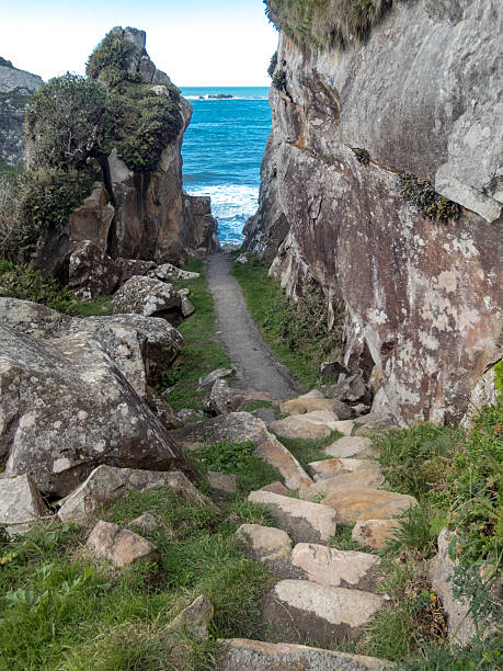 istock Stone Hiking Trail Down to Ocean Harris Beach State Park 497812138