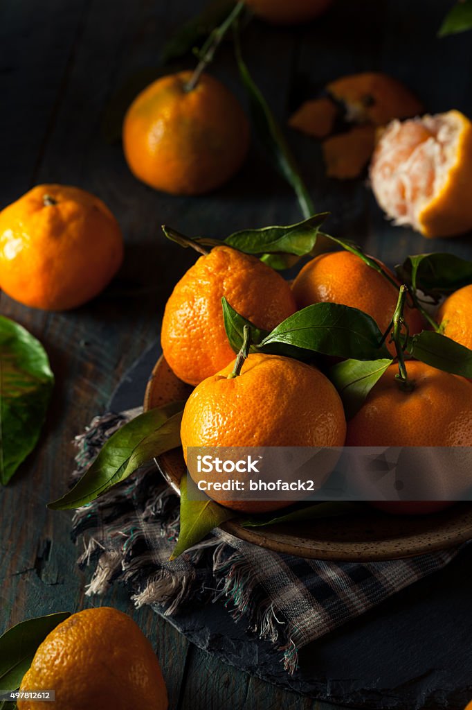 Raw Organic Satsuma Oranges Raw Organic Satsuma Oranges with Green Leaves 2015 Stock Photo