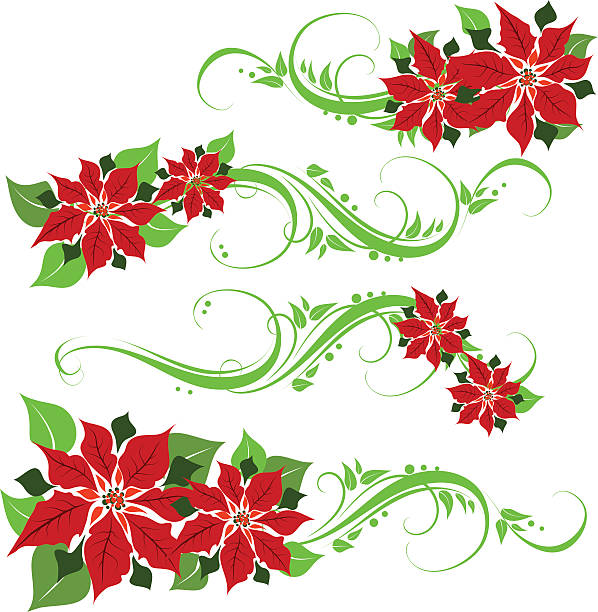 ilustrações de stock, clip art, desenhos animados e ícones de emblema de bico-de-papagaio - christmas holly frame ivy