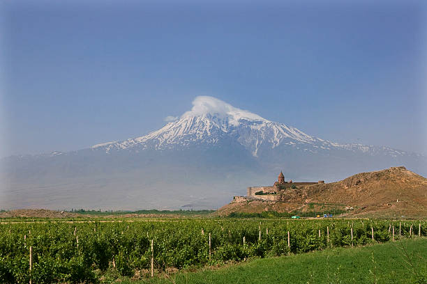 Mt Ararat A historical view of the mountain Ararat from Armenia, monastery Khor Virap and vineyards armenia country stock pictures, royalty-free photos & images