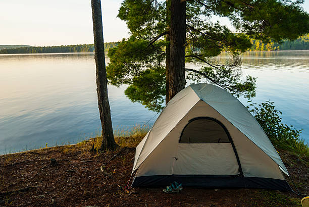 istock Tent In The Forest During A Summer Camp 497824680