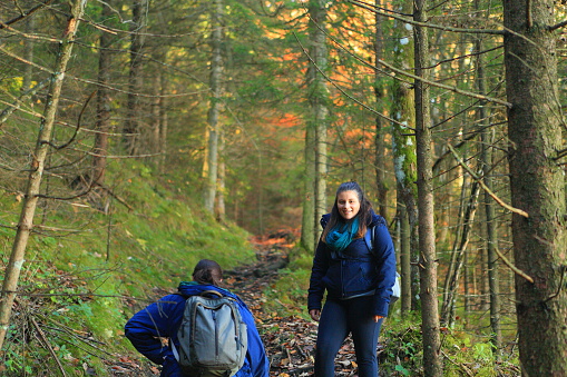 Hikers in the Woods