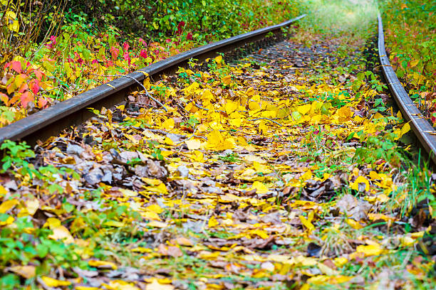 istock Autumn on the railroad 497831738