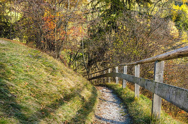 istock Mountain Trail on a Sunny Autumn Day 497832486