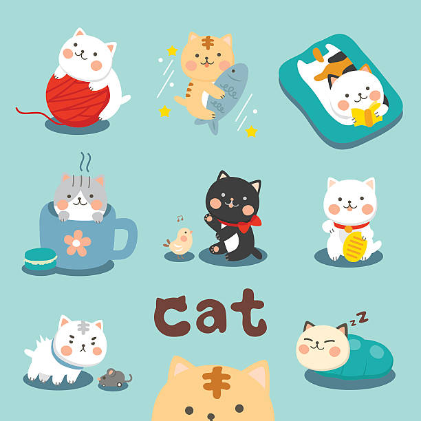 set cute cat - animal 幅插畫檔、美工圖案、卡通及圖標