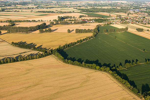 istock aerial view of  harvest fields in summer 497834490