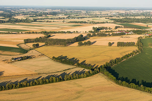 istock aerial view of  harvest fields in summer 497834556