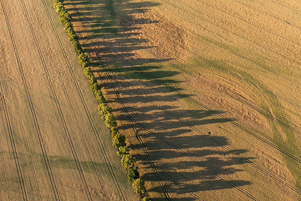 istock aerial view of  harvest fields in summer 497834806