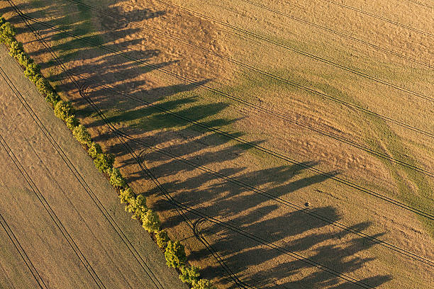 istock aerial view of  harvest fields in summer 497835164