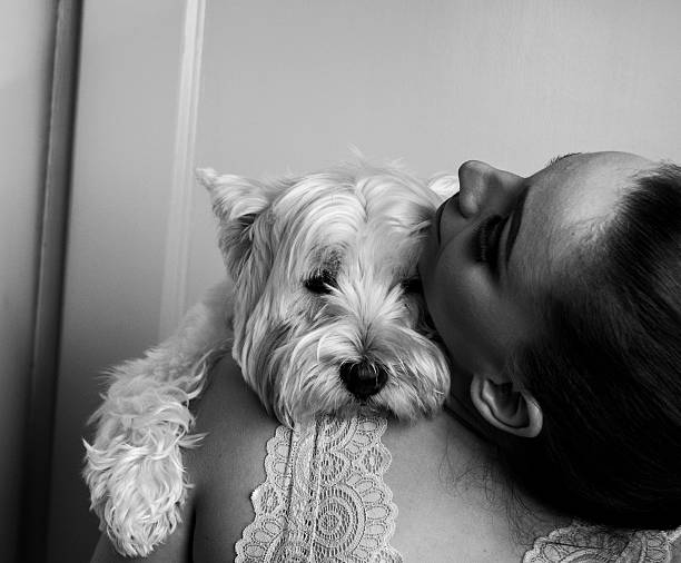 istock Beautiful girl with a dog 497837760